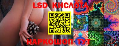 тгк Берёзовский