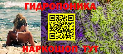 тгк Берёзовский