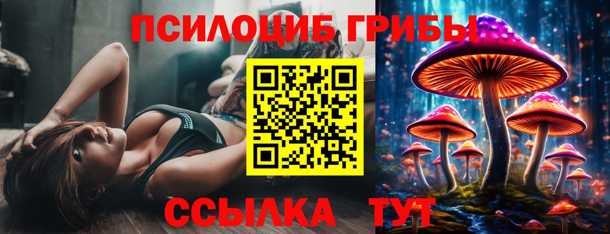 Псилоцибиновые грибы мухоморы  наркота  Вышний Волочёк 