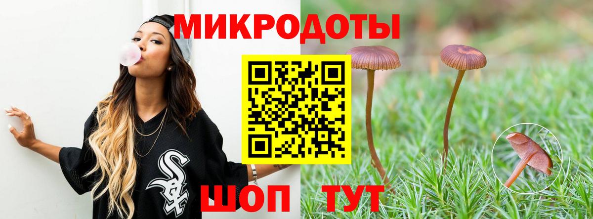 Псилоцибиновые грибы Psilocybine cubensis Вышний Волочёк